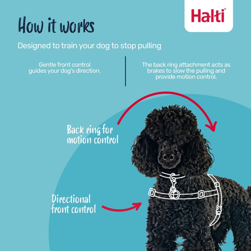 Halti Front Control Harness - Stop Your Dog Pulling on the Leash. Adjustable, Lightweight and Easy to Use. Anti-Pull Dog Training Harness for Large Dogs (Size L) - Image 3